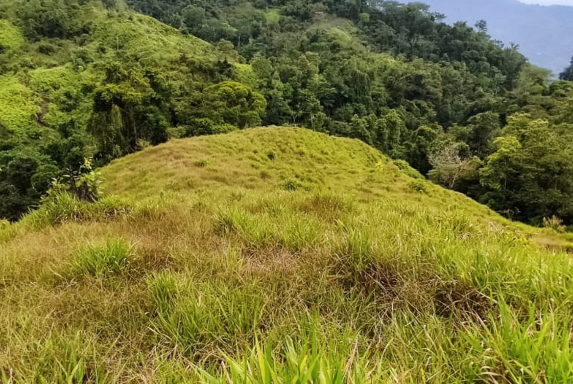 PROPERTY WITH MOUNTAIN VIEW, IN TRES RIOS – 66.7 ACRES