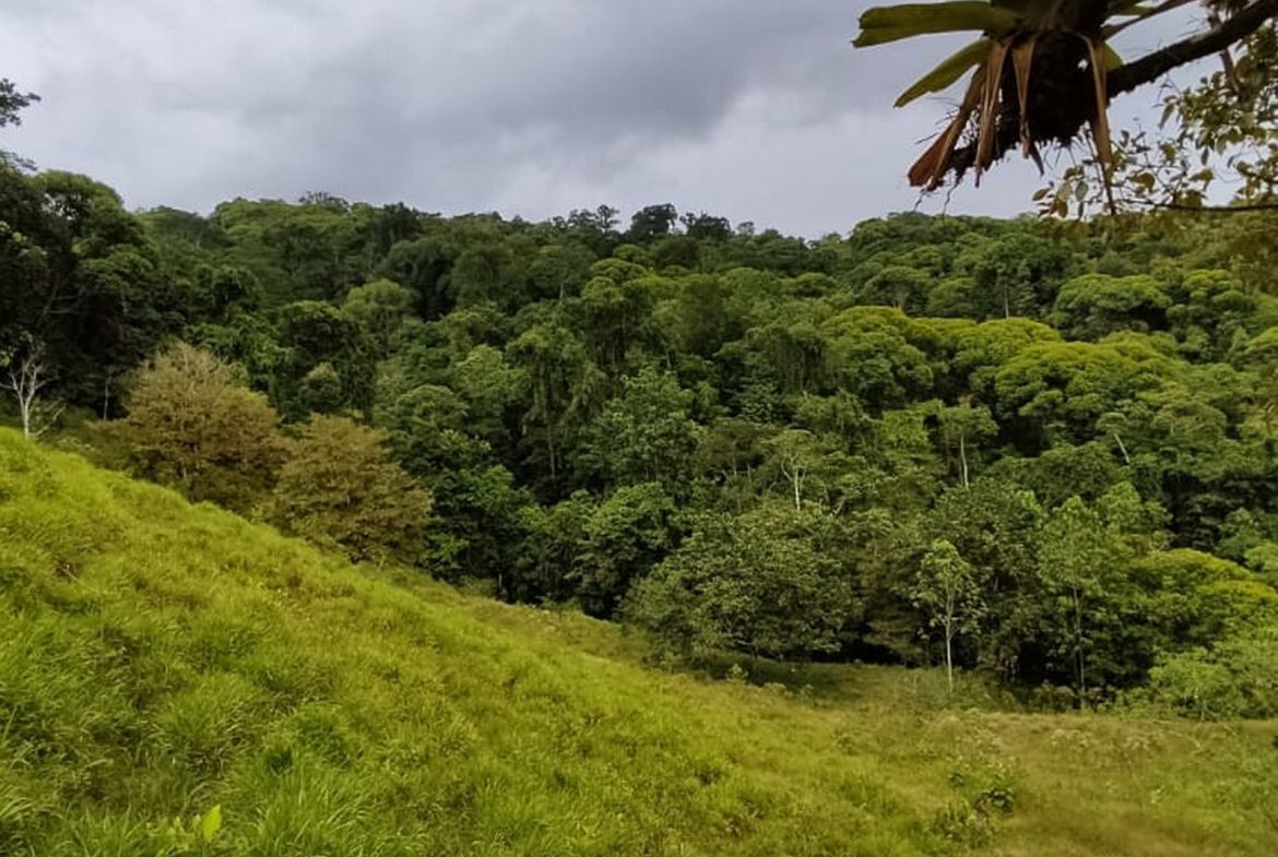 PROPERTY WITH MOUNTAIN VIEW, IN TRES RIOS – 66.7 ACRES