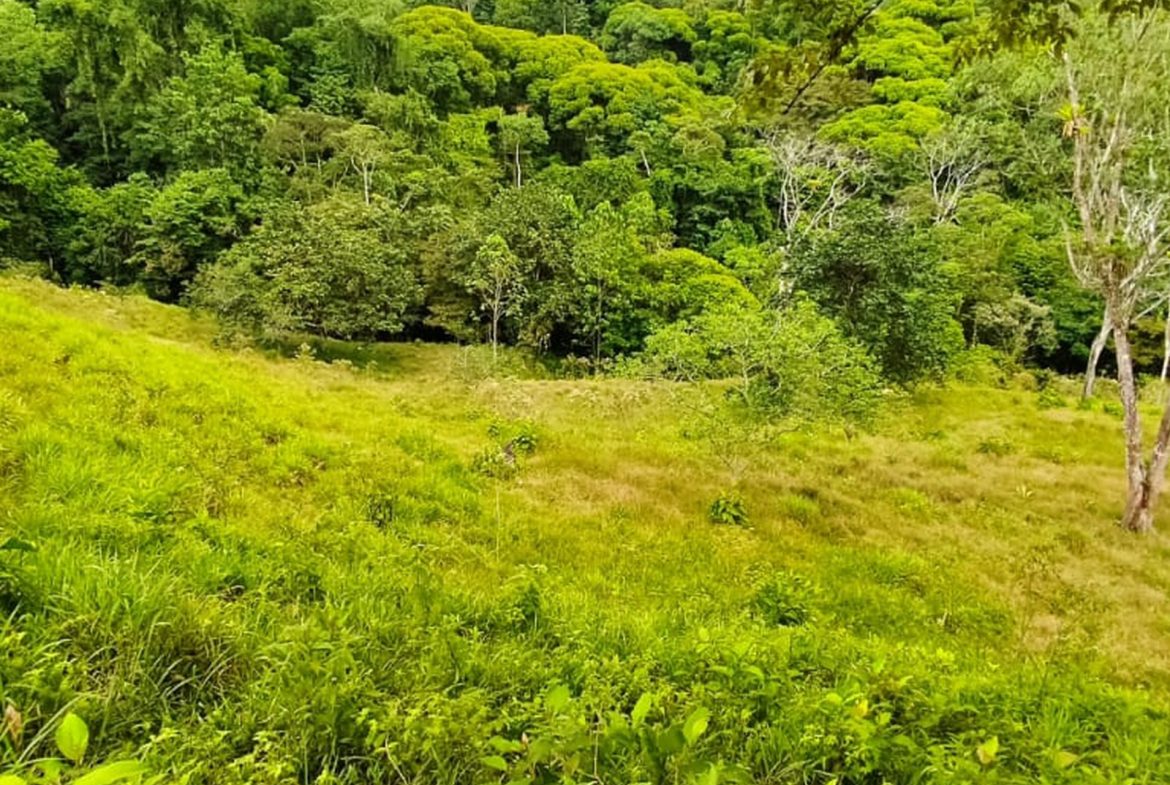 PROPERTY WITH MOUNTAIN VIEW, IN TRES RIOS – 66.7 ACRES