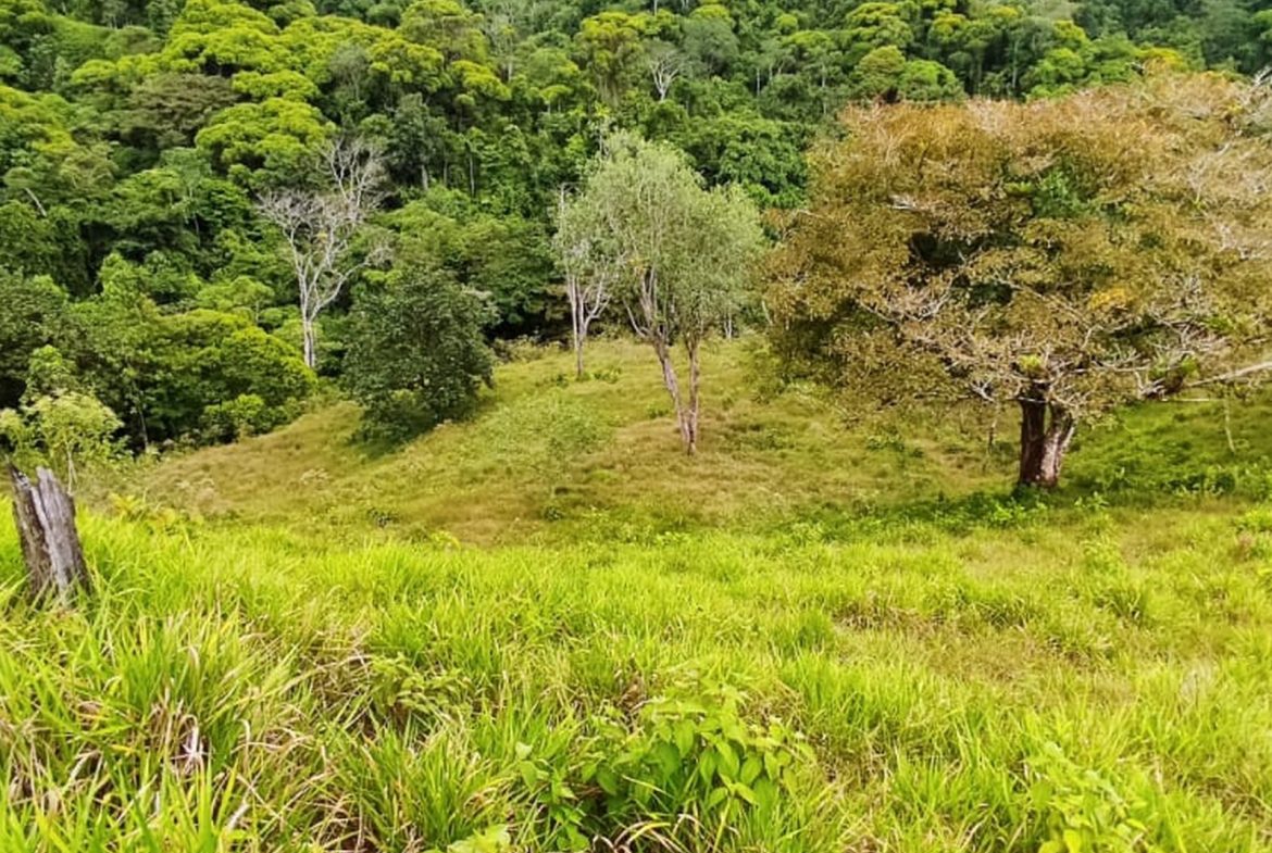 PROPERTY WITH MOUNTAIN VIEW, IN TRES RIOS – 66.7 ACRES
