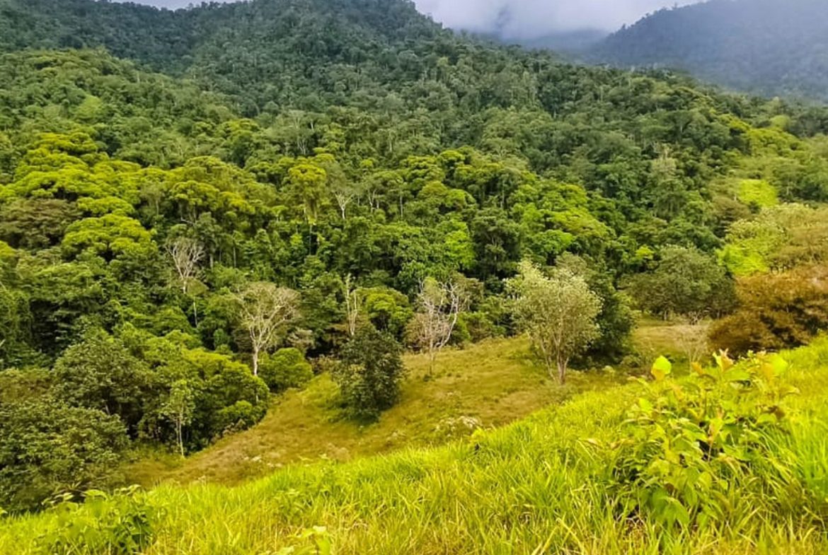 PROPERTY WITH MOUNTAIN VIEW, IN TRES RIOS – 66.7 ACRES