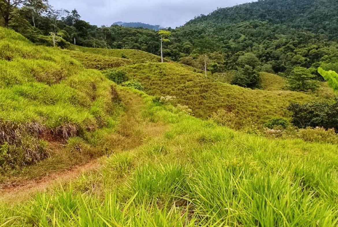 PROPERTY WITH MOUNTAIN VIEW, IN TRES RIOS – 66.7 ACRES