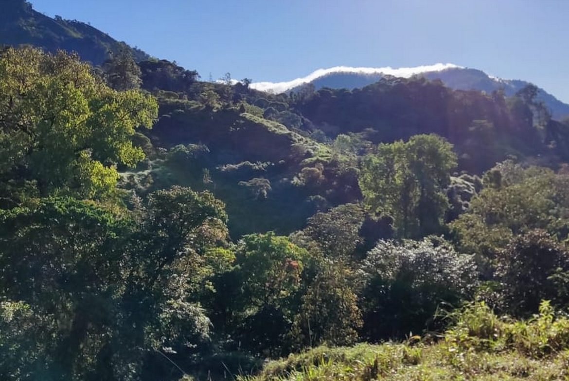 PROPERTY WITH MOUNTAIN VIEW, IN TRES RIOS – 66.7 ACRES