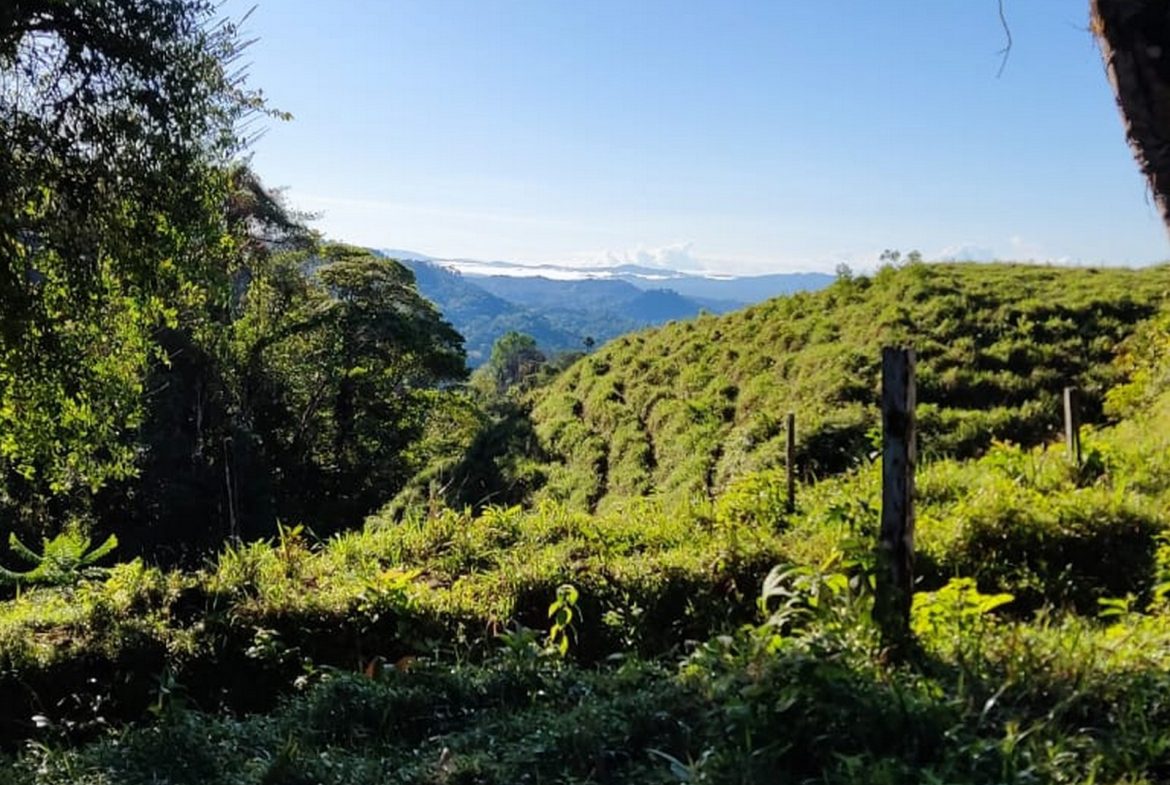 PROPERTY WITH MOUNTAIN VIEW, IN TRES RIOS – 66.7 ACRES