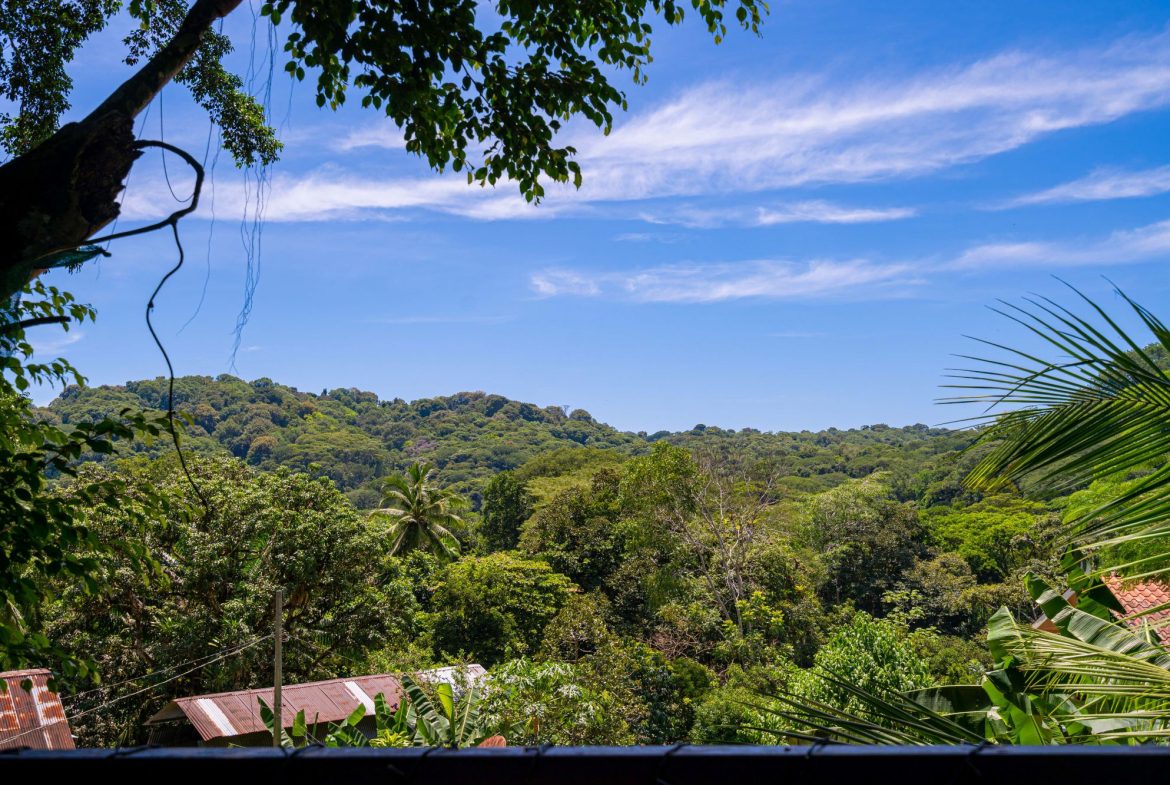 PROPERTY WITH RIVER FRONT VIEWS, IN DOMINICAL – 0.15 ACRES