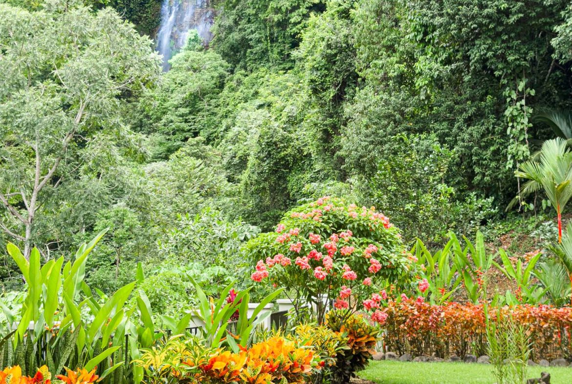 PROPERTY WITH 2 BEDROOM HOUSE AND A GUEST HOUSE, IN PLATANILLO – 3.35 ACRES