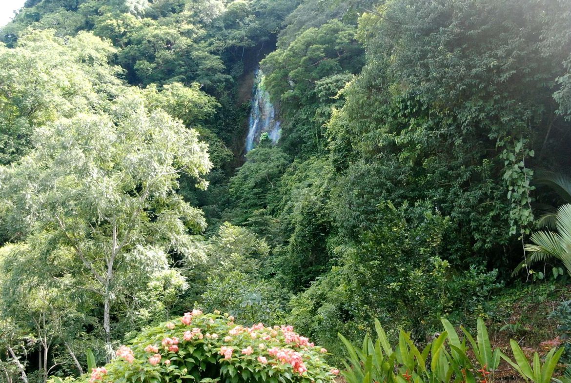 PROPERTY WITH 2 BEDROOM HOUSE AND A GUEST HOUSE, IN PLATANILLO – 3.35 ACRES