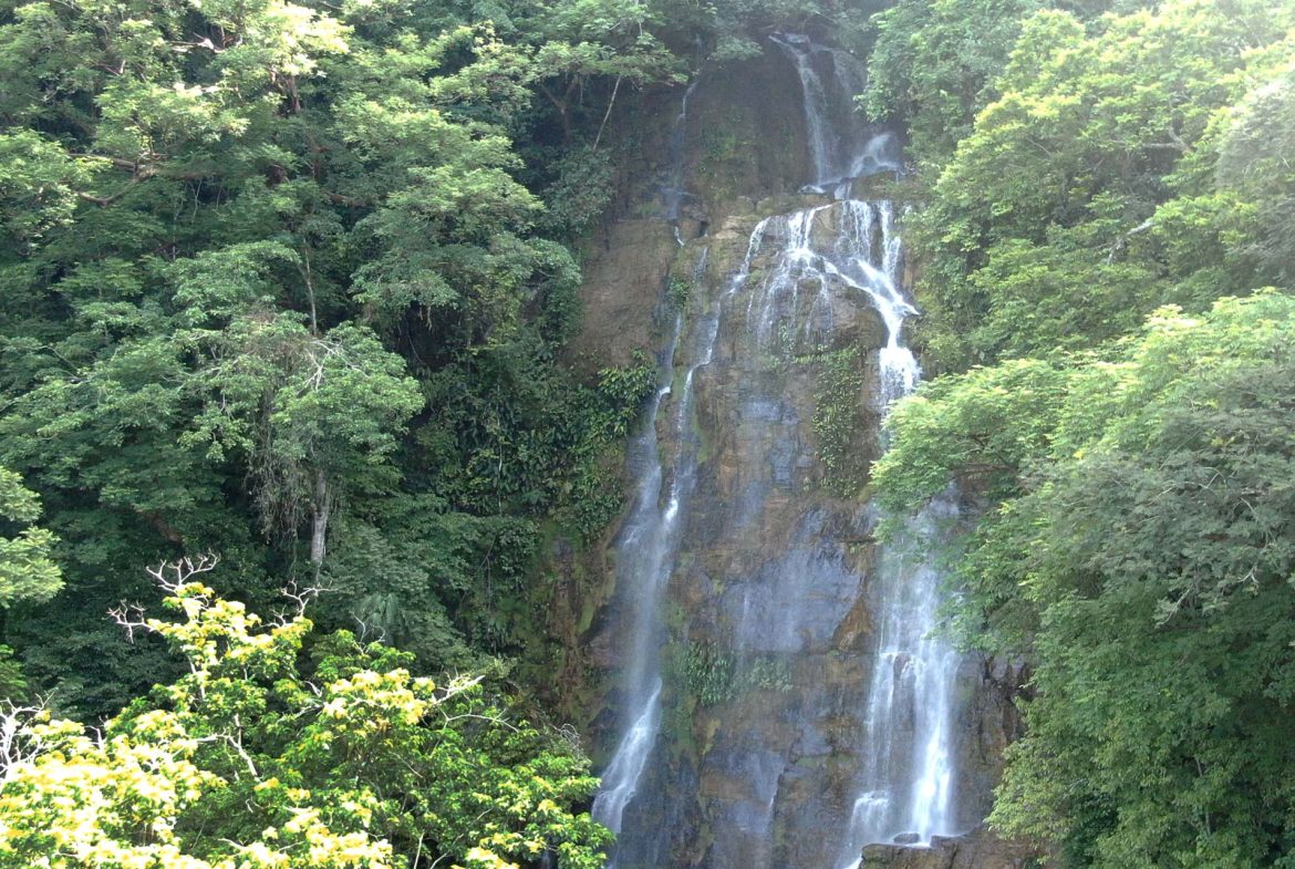 PROPERTY WITH 2 BEDROOM HOUSE AND A GUEST HOUSE, IN PLATANILLO – 3.35 ACRES