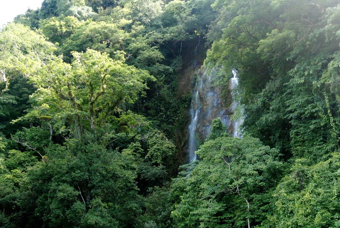 PROPERTY WITH 2 BEDROOM HOUSE AND A GUEST HOUSE, IN PLATANILLO – 3.35 ACRES