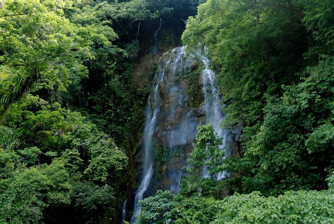 PROPERTY WITH 2 BEDROOM HOUSE AND A GUEST HOUSE, IN PLATANILLO – 3.35 ACRES