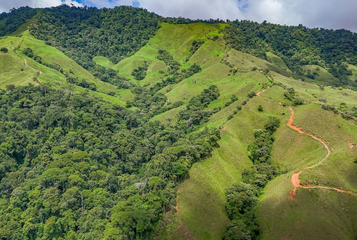 BUILDING FARM PROPERTY WITH MOUNTAIN VIEW, IN PUERTO CORTES – 464 ACRES, Uvita, Costa Rica — photo 4