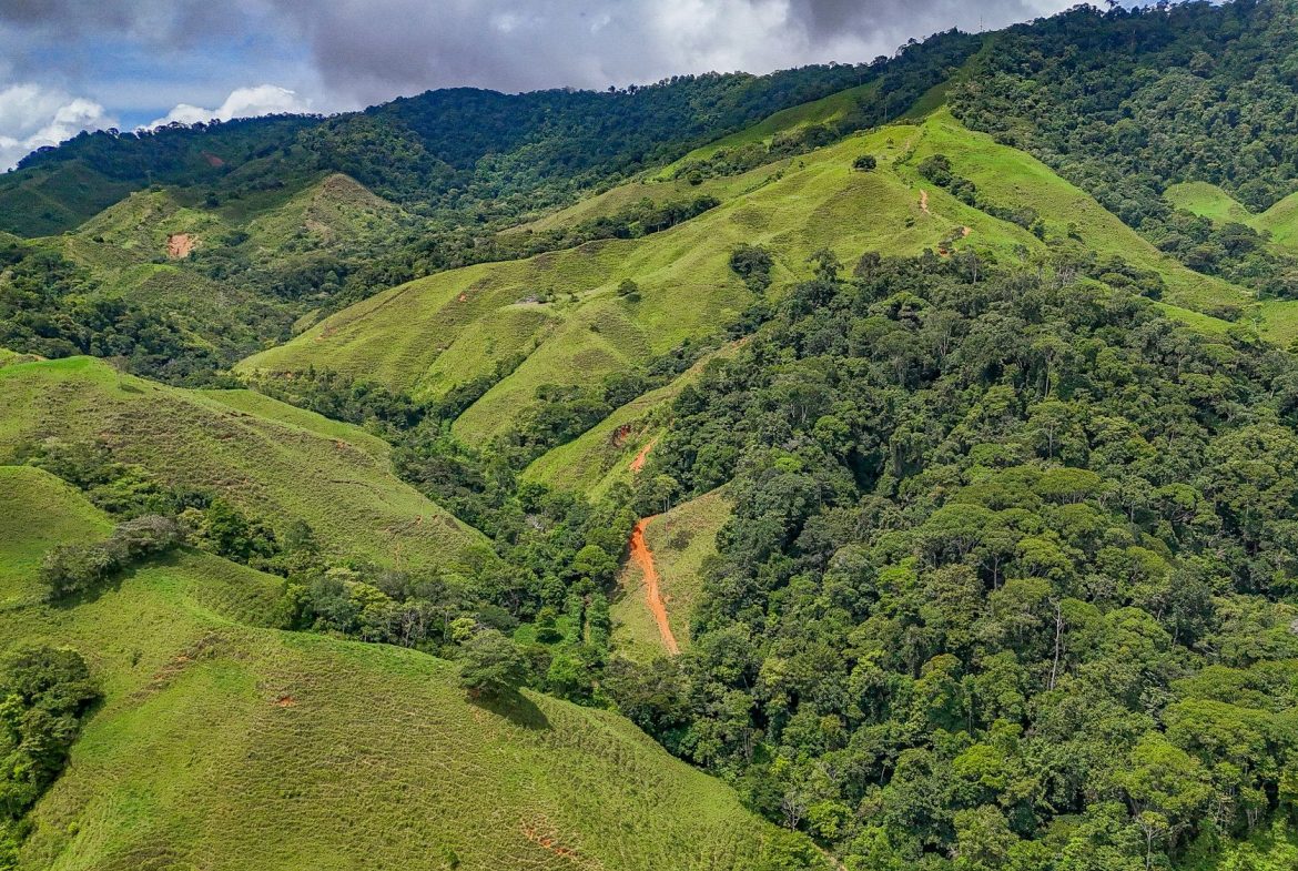 BUILDING FARM PROPERTY WITH MOUNTAIN VIEW, IN PUERTO CORTES – 464 ACRES