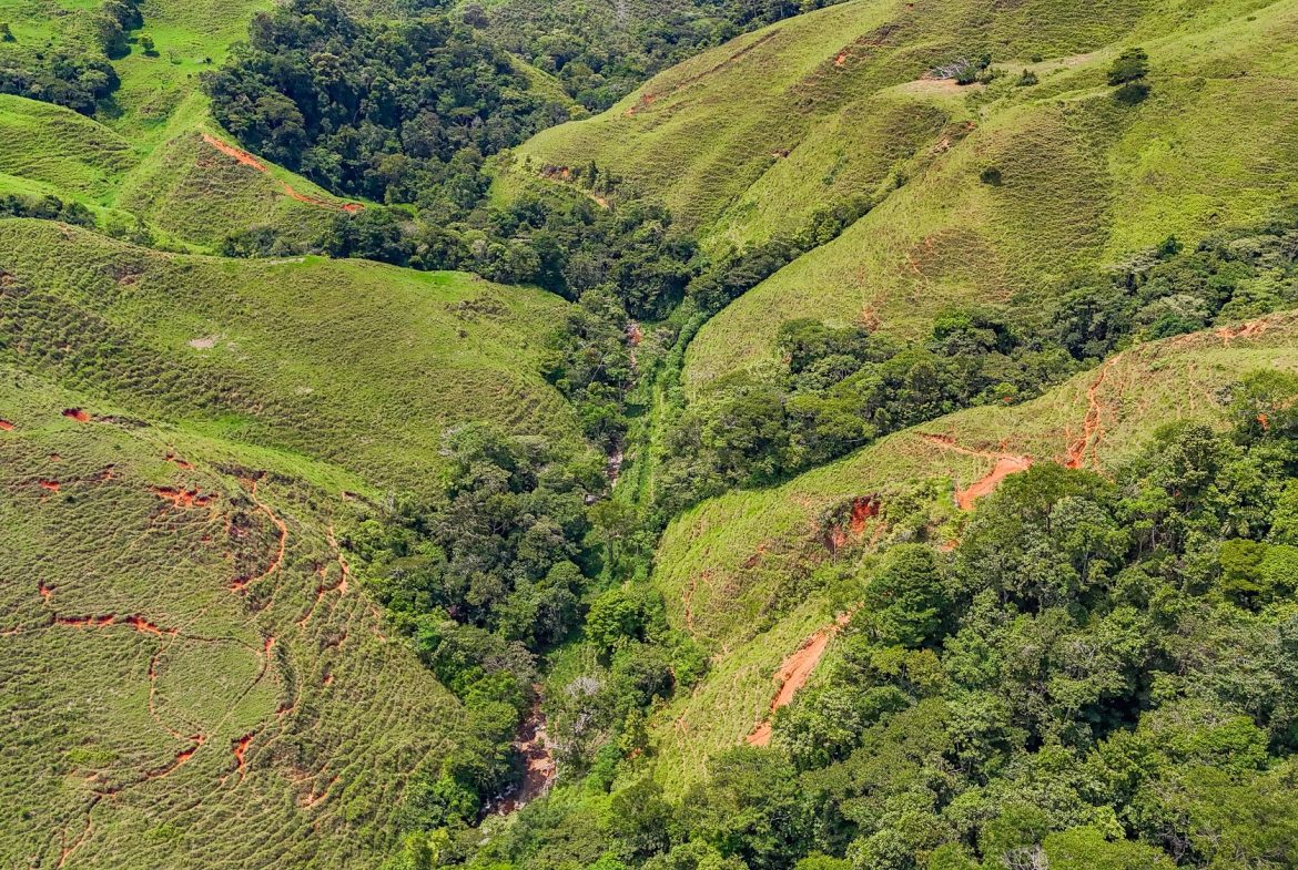 BUILDING FARM PROPERTY WITH MOUNTAIN VIEW, IN PUERTO CORTES – 464 ACRES