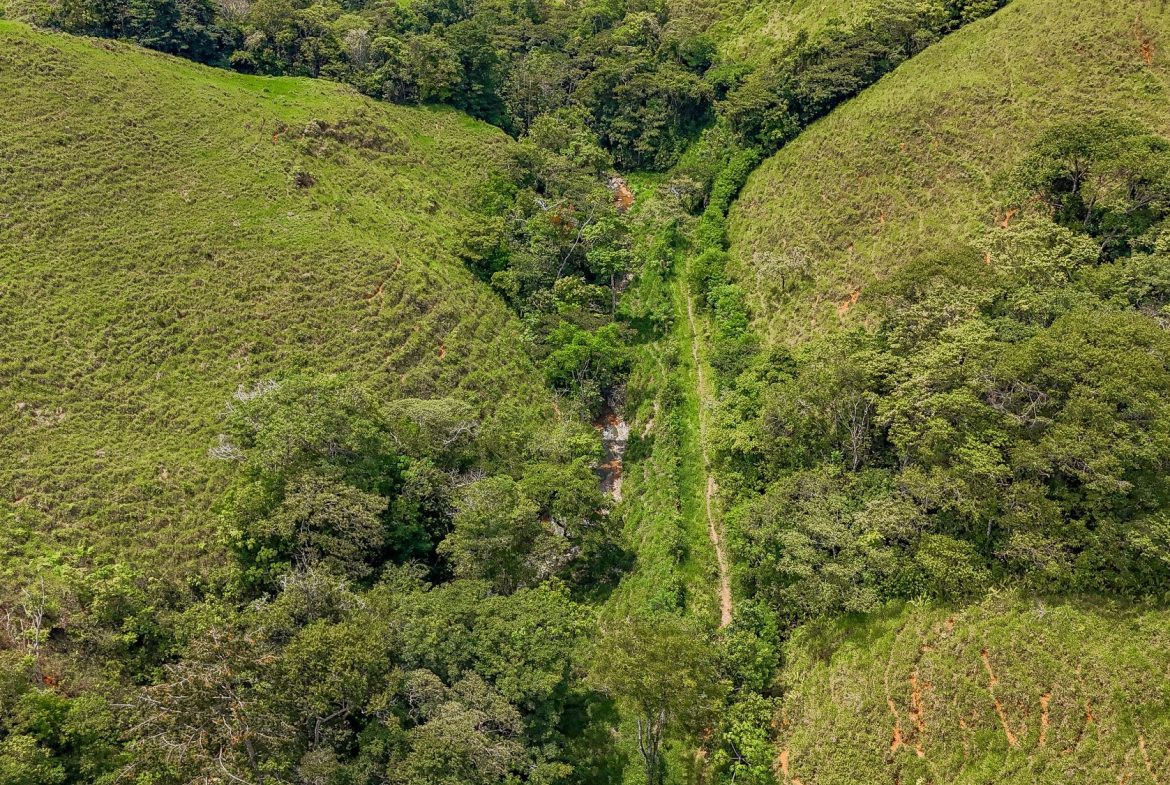 BUILDING FARM PROPERTY WITH MOUNTAIN VIEW, IN PUERTO CORTES – 464 ACRES