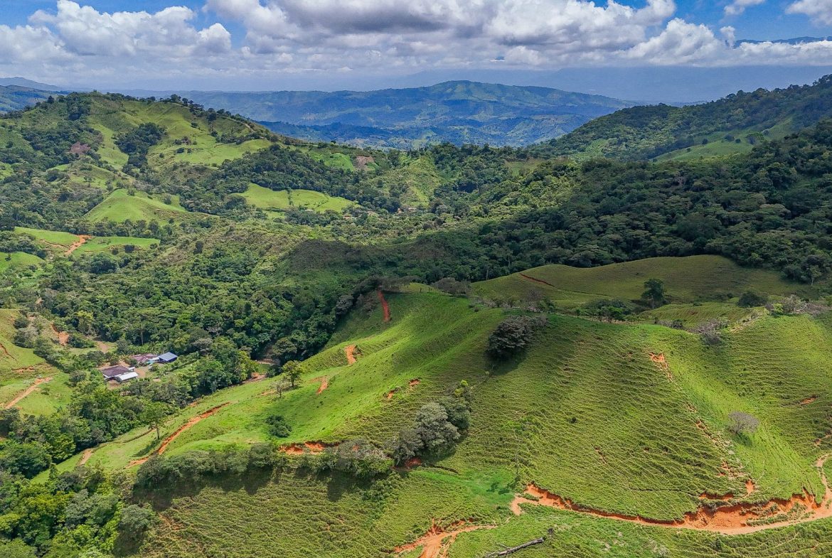 BUILDING FARM PROPERTY WITH MOUNTAIN VIEW, IN PUERTO CORTES – 464 ACRES