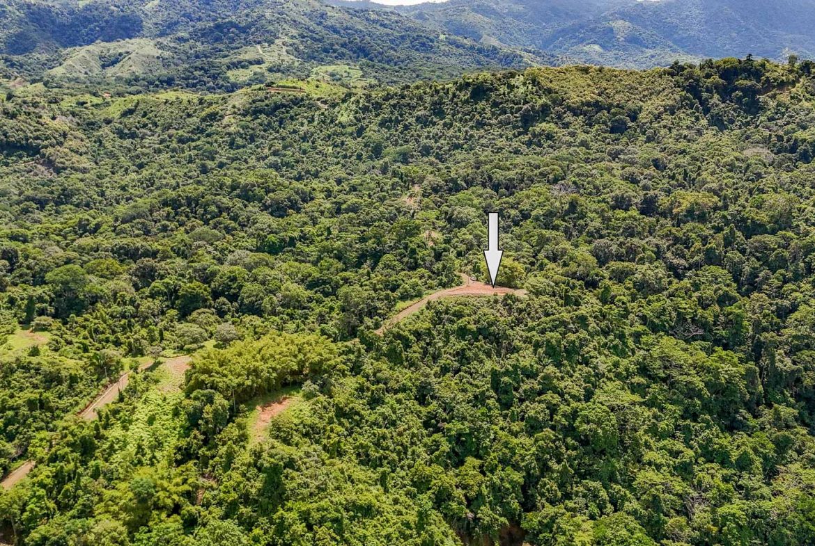 JUNGLE BUILDING PROPERTY WITH OCEAN VIEWS IN CHONTALES OJOCHAL – 9 ACRES