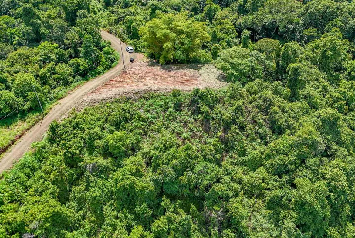 JUNGLE BUILDING PROPERTY WITH OCEAN VIEWS IN CHONTALES OJOCHAL – 9 ACRES