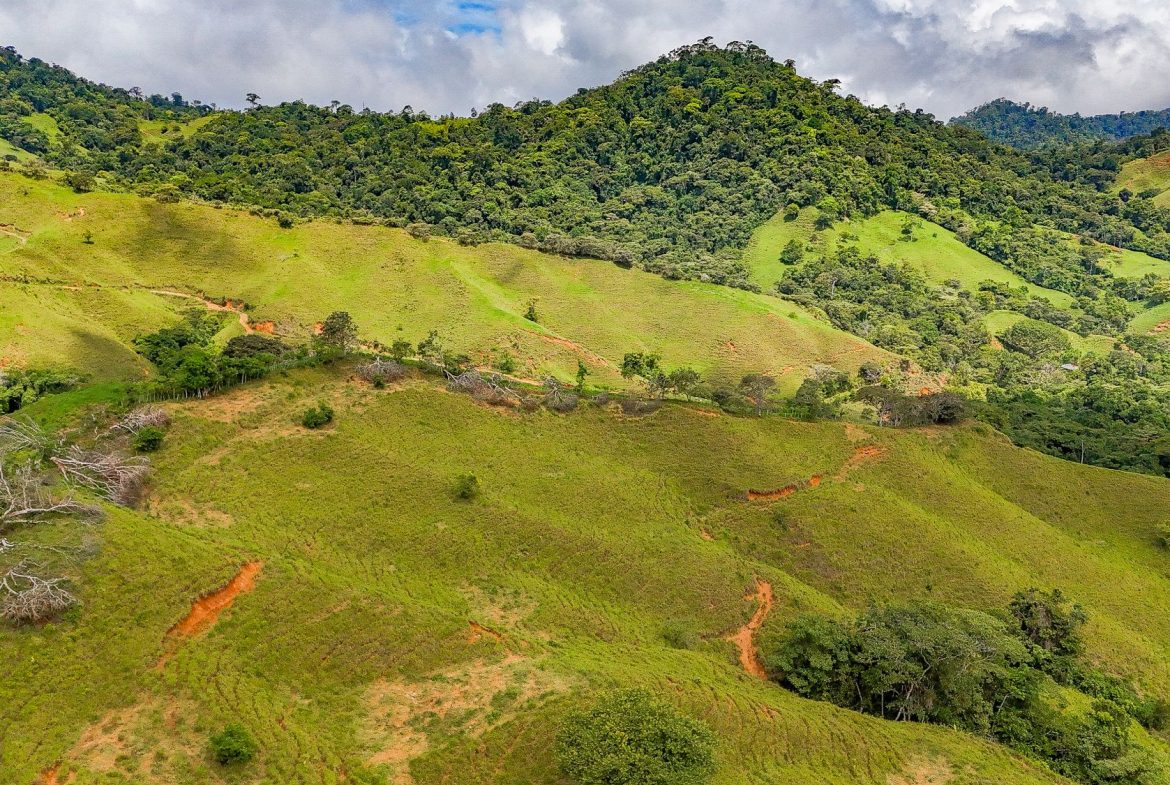 BUILDING FARM PROPERTY WITH MOUNTAIN VIEW, IN PUERTO CORTES – 464 ACRES