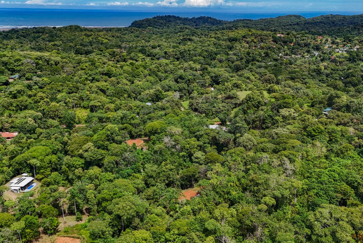 BUILDING PROPERTY NEAR A CREEK, IN OJOCHAL – 1.6 ACRES