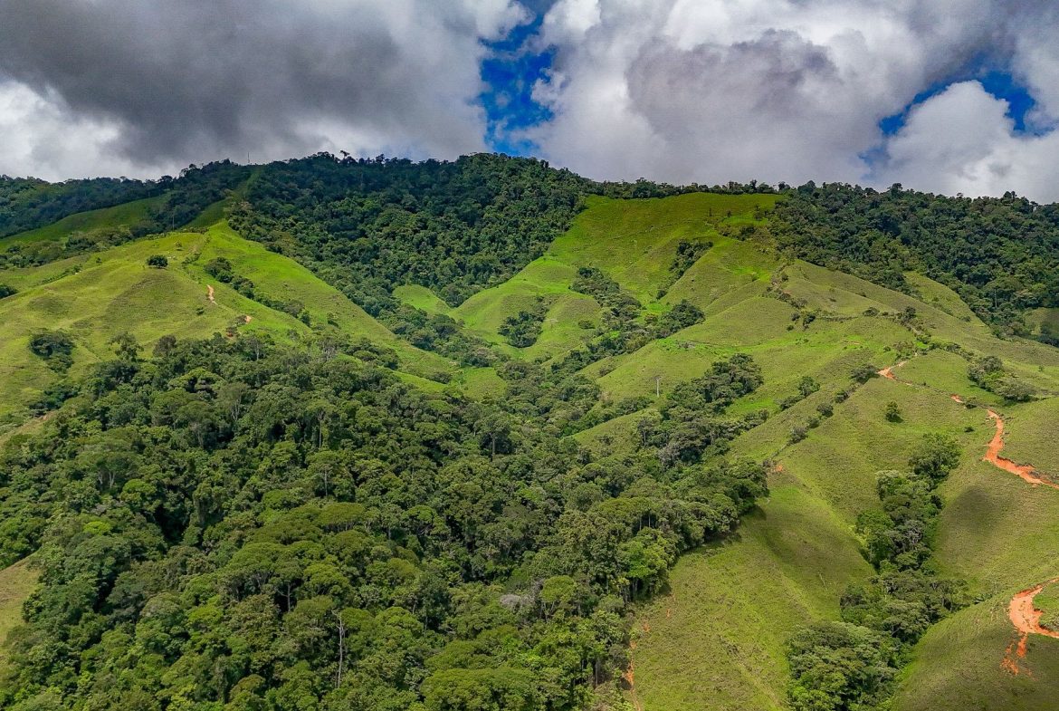 BUILDING FARM PROPERTY WITH MOUNTAIN VIEW, IN PUERTO CORTES – 464 ACRES, Uvita, Costa Rica — photo 5