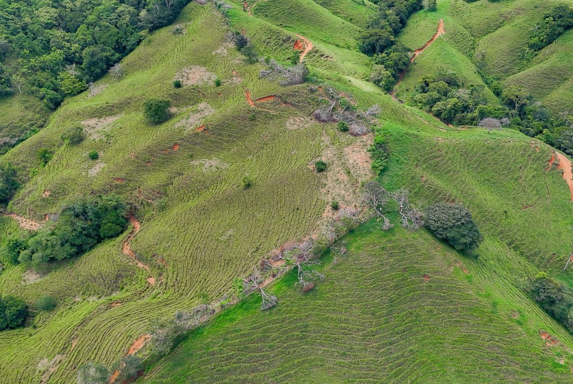 BUILDING FARM PROPERTY WITH MOUNTAIN VIEW, IN PUERTO CORTES – 464 ACRES