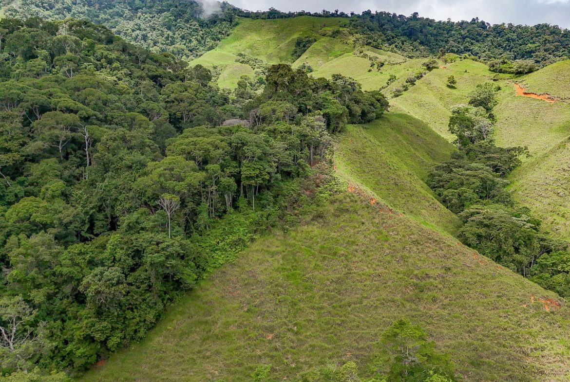 BUILDING FARM PROPERTY WITH MOUNTAIN VIEW, IN PUERTO CORTES – 464 ACRES