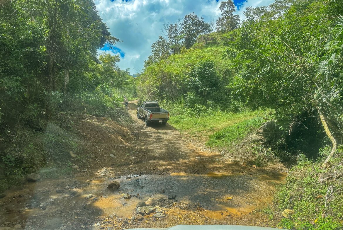 BUILDING FARM PROPERTY WITH MOUNTAIN VIEW, IN PUERTO CORTES – 464 ACRES