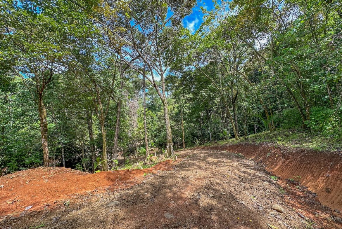 BUILDING PROPERTY NEAR A CREEK, IN OJOCHAL – 1.6 ACRES