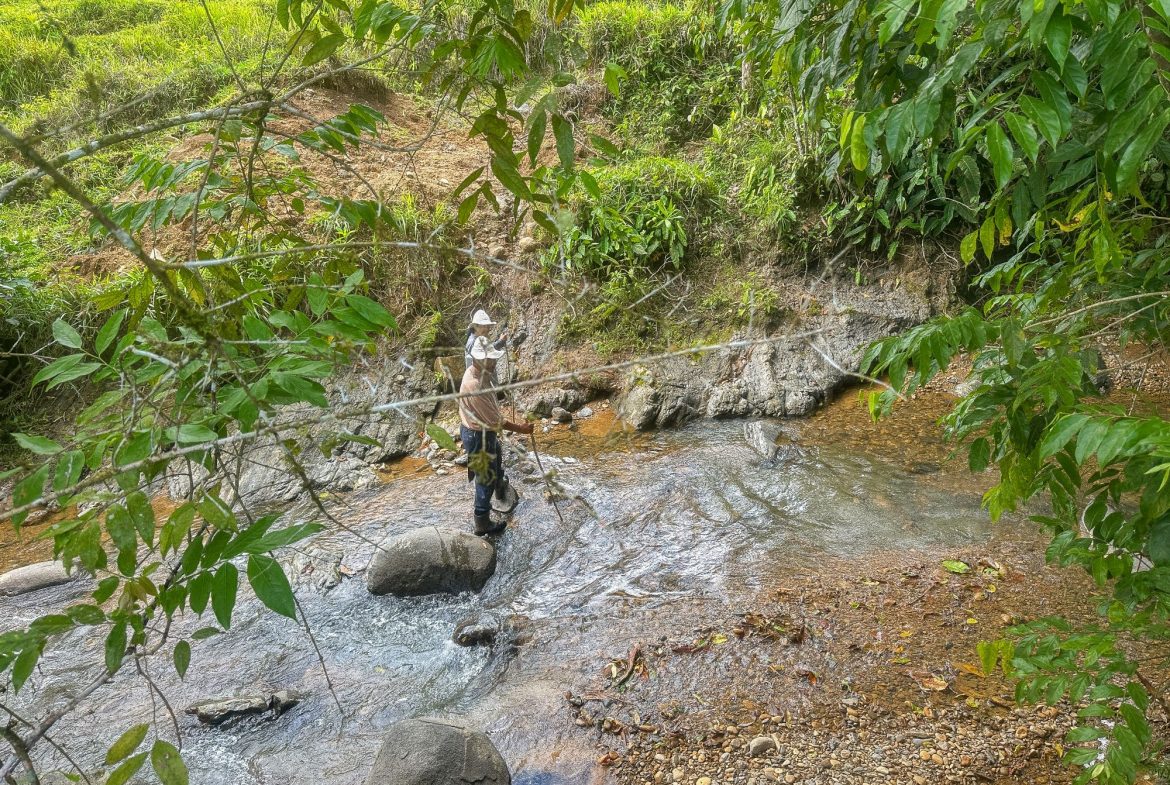 BUILDING FARM PROPERTY WITH MOUNTAIN VIEW, IN PUERTO CORTES – 464 ACRES
