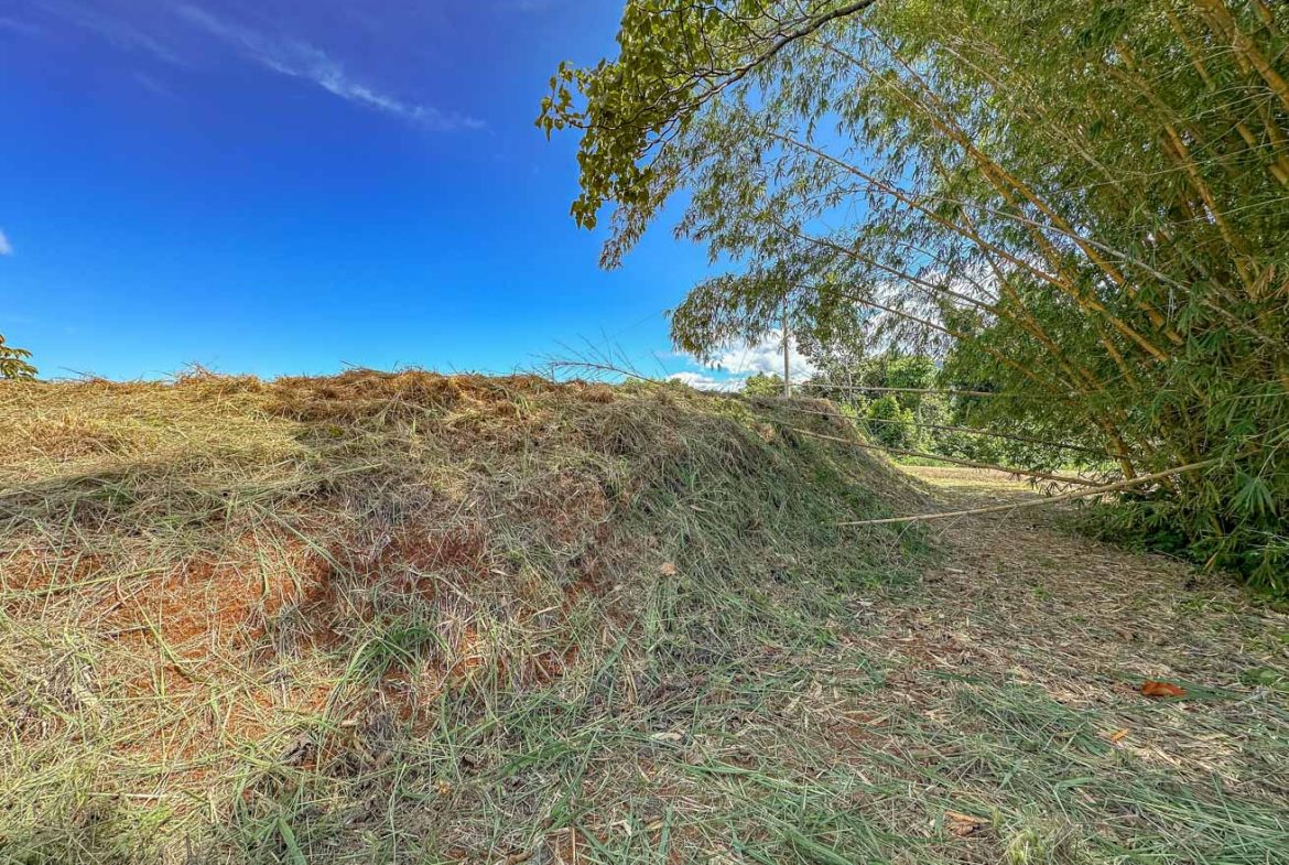 JUNGLE BUILDING PROPERTY WITH OCEAN VIEWS IN CHONTALES OJOCHAL – 9 ACRES