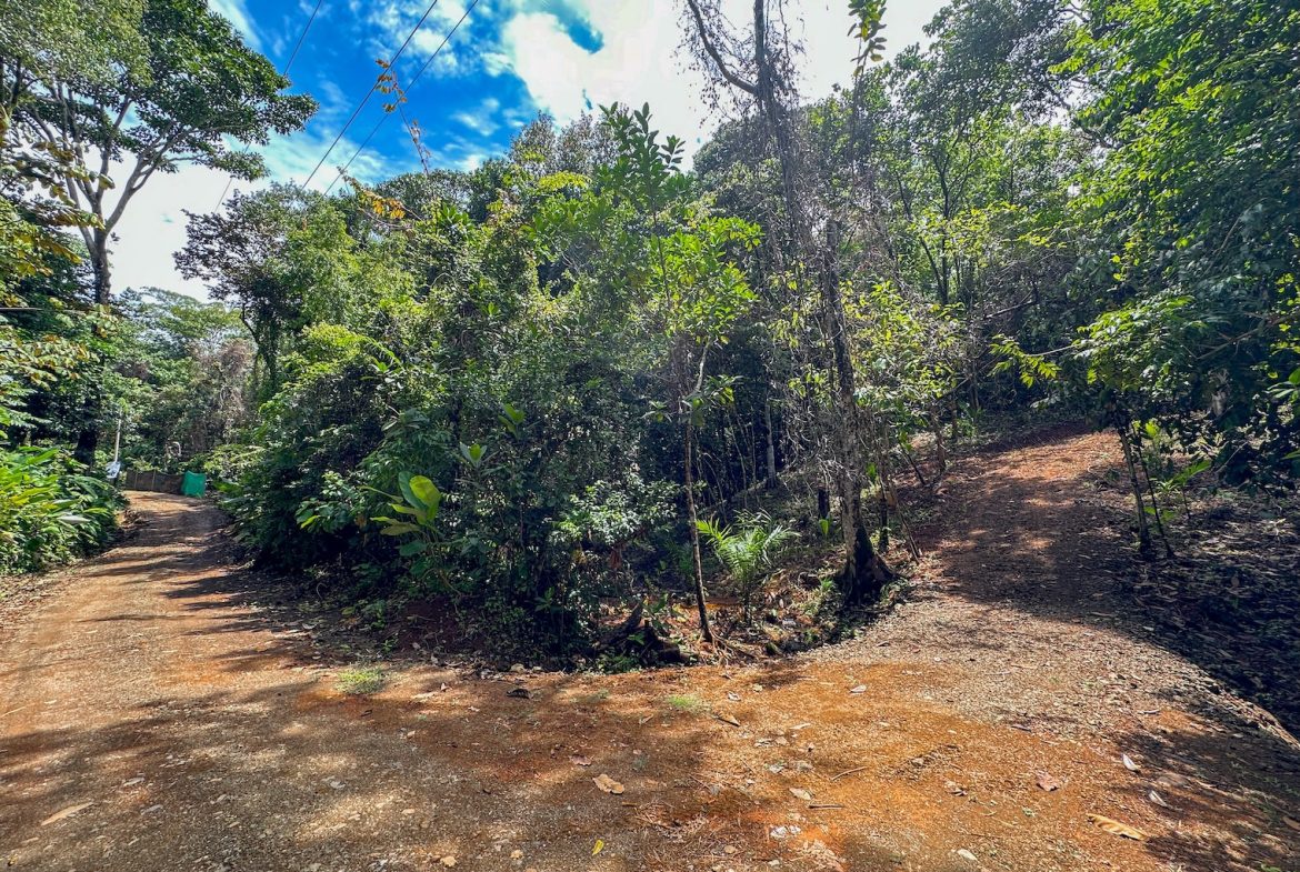 BUILDING PROPERTY NEAR A CREEK, IN OJOCHAL – 1.6 ACRES