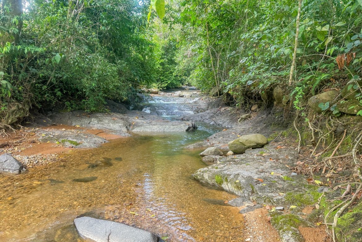 BUILDING FARM PROPERTY WITH MOUNTAIN VIEW, IN PUERTO CORTES – 464 ACRES