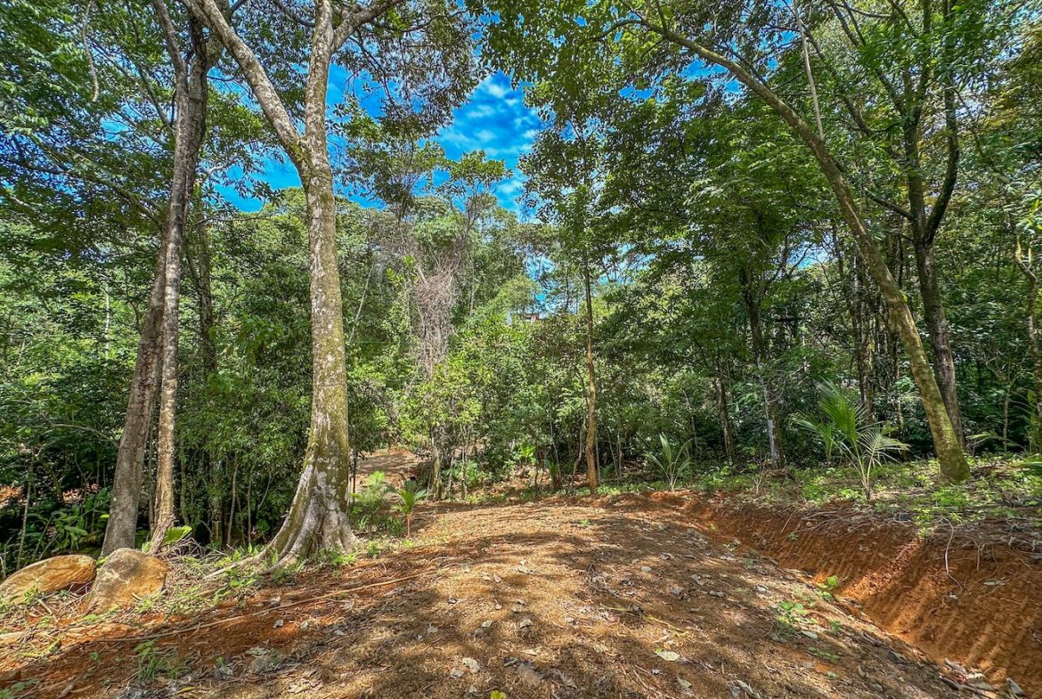 BUILDING PROPERTY NEAR A CREEK, IN OJOCHAL – 1.6 ACRES