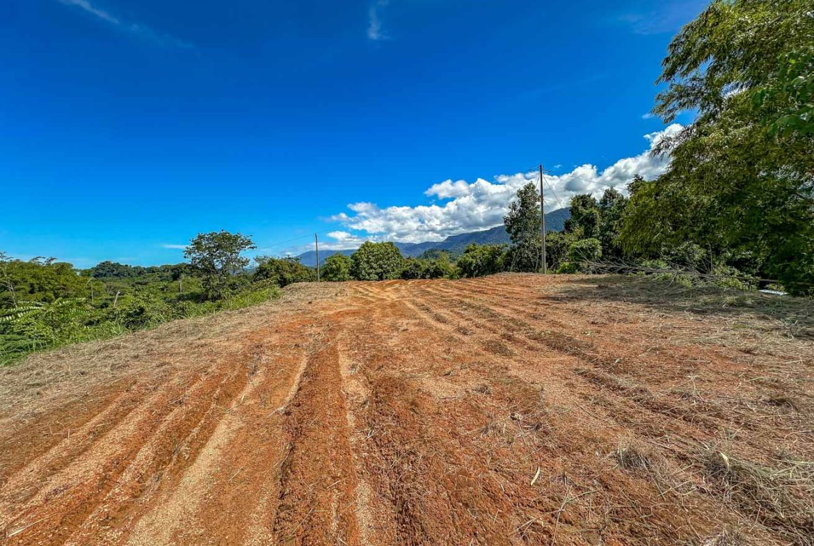 JUNGLE BUILDING PROPERTY WITH OCEAN VIEWS IN CHONTALES OJOCHAL – 9 ACRES
