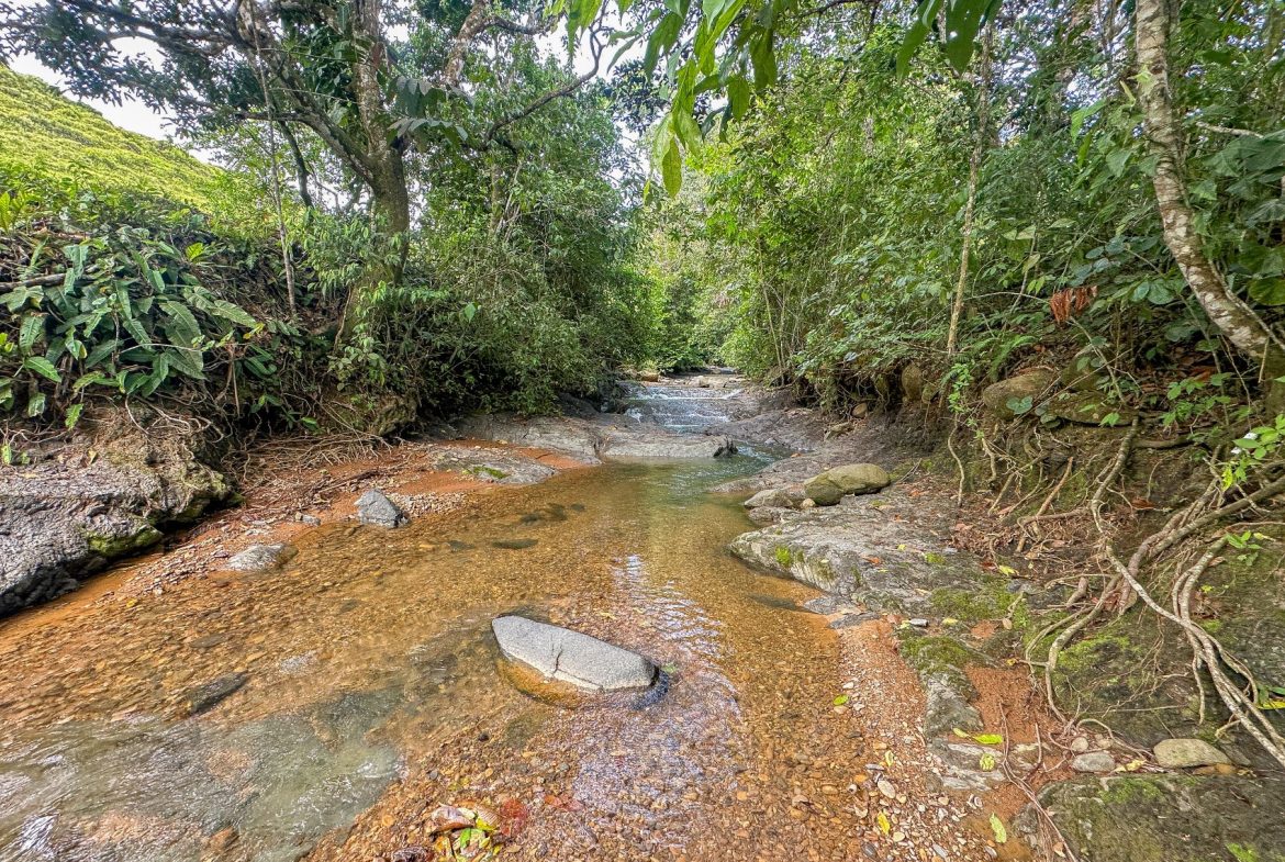 BUILDING FARM PROPERTY WITH MOUNTAIN VIEW, IN PUERTO CORTES – 464 ACRES