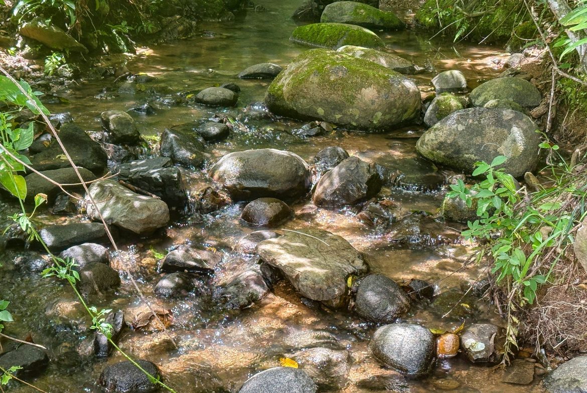 BUILDING FARM PROPERTY WITH MOUNTAIN VIEW, IN PUERTO CORTES – 464 ACRES