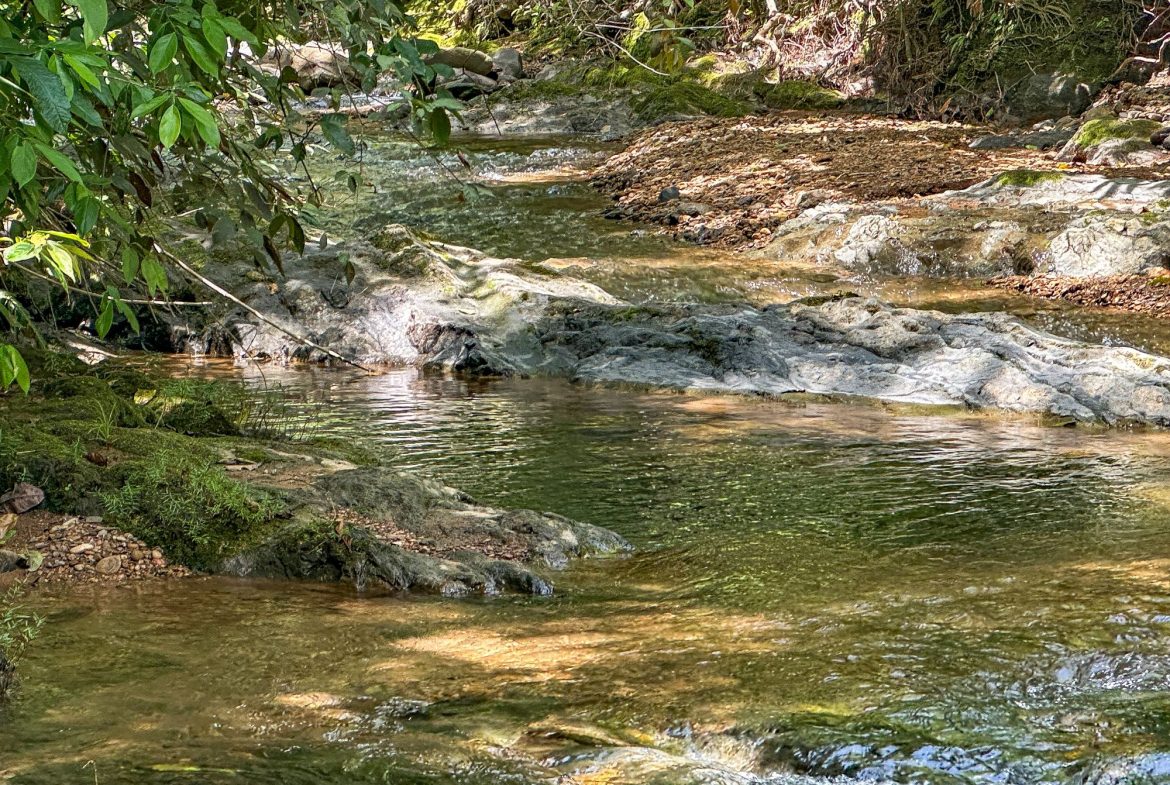 BUILDING FARM PROPERTY WITH MOUNTAIN VIEW, IN PUERTO CORTES – 464 ACRES
