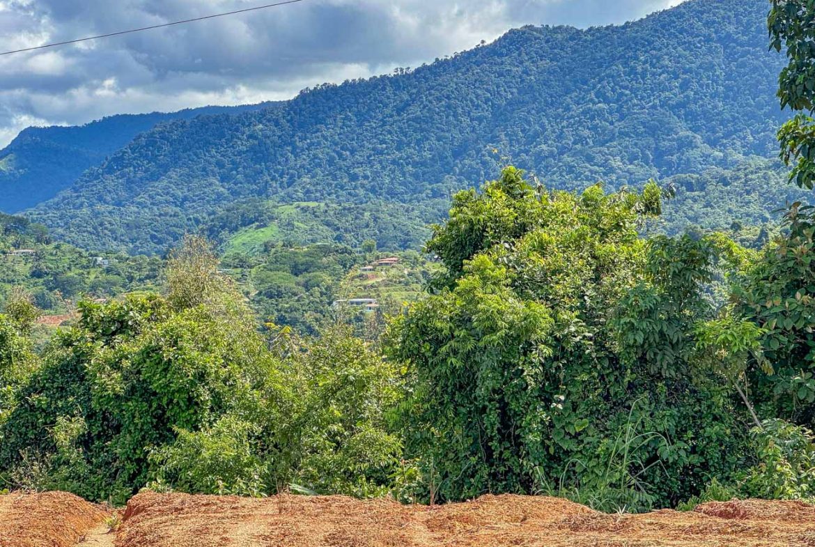 JUNGLE BUILDING PROPERTY WITH OCEAN VIEWS IN CHONTALES OJOCHAL – 9 ACRES
