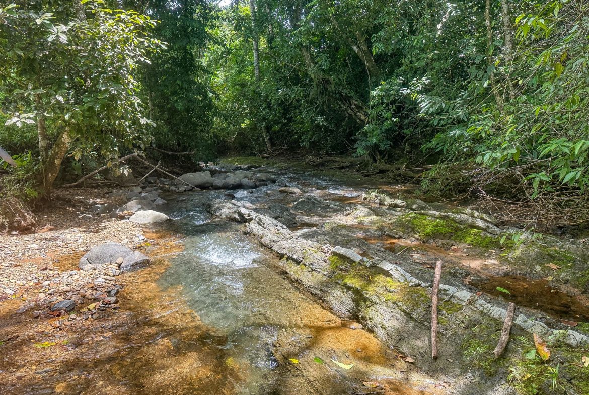 BUILDING FARM PROPERTY WITH MOUNTAIN VIEW, IN PUERTO CORTES – 464 ACRES