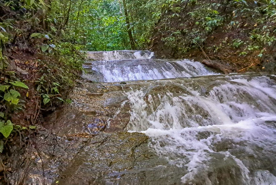 BUILDING FARM PROPERTY WITH MOUNTAIN VIEW, IN PUERTO CORTES – 464 ACRES