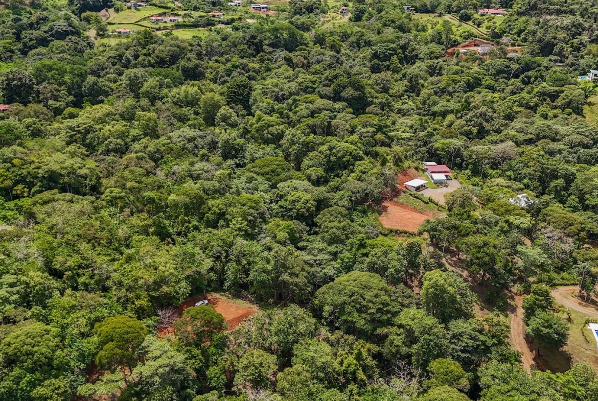 BUILDING PROPERTY NEAR A CREEK, IN OJOCHAL – 1.6 ACRES