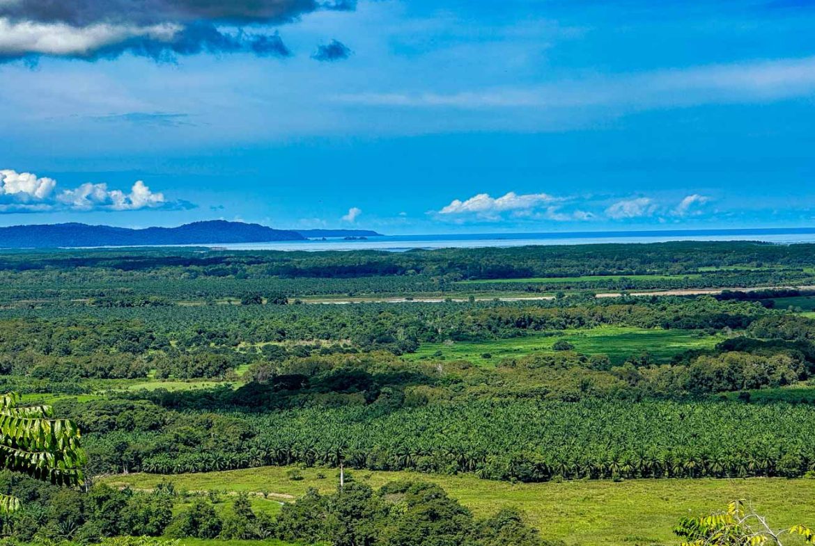 JUNGLE BUILDING PROPERTY WITH OCEAN VIEWS IN CHONTALES OJOCHAL – 9 ACRES