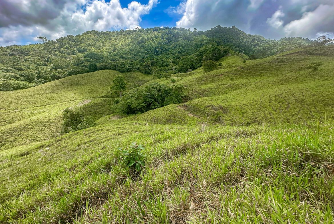 BUILDING FARM PROPERTY WITH MOUNTAIN VIEW, IN PUERTO CORTES – 464 ACRES