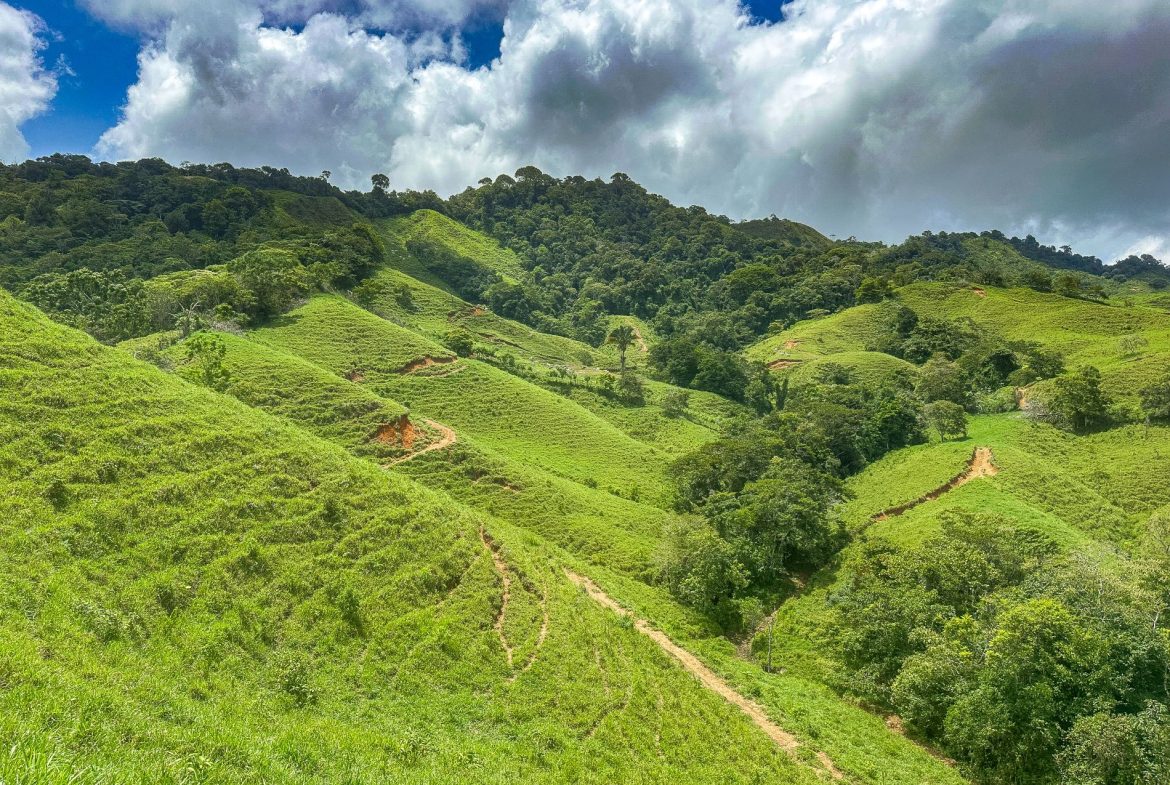 BUILDING FARM PROPERTY WITH MOUNTAIN VIEW, IN PUERTO CORTES – 464 ACRES