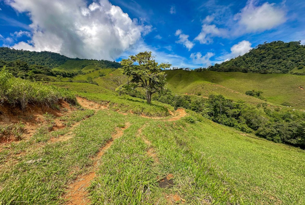 BUILDING FARM PROPERTY WITH MOUNTAIN VIEW, IN PUERTO CORTES – 464 ACRES