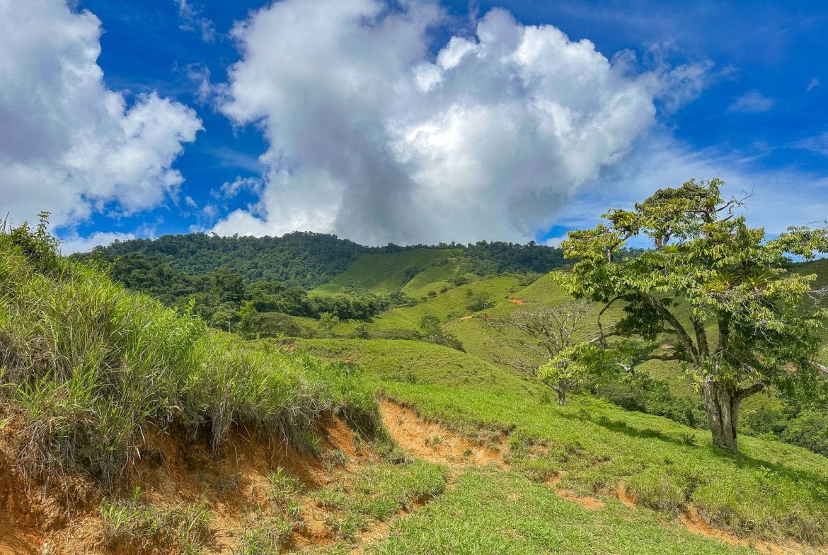 BUILDING FARM PROPERTY WITH MOUNTAIN VIEW, IN PUERTO CORTES – 464 ACRES