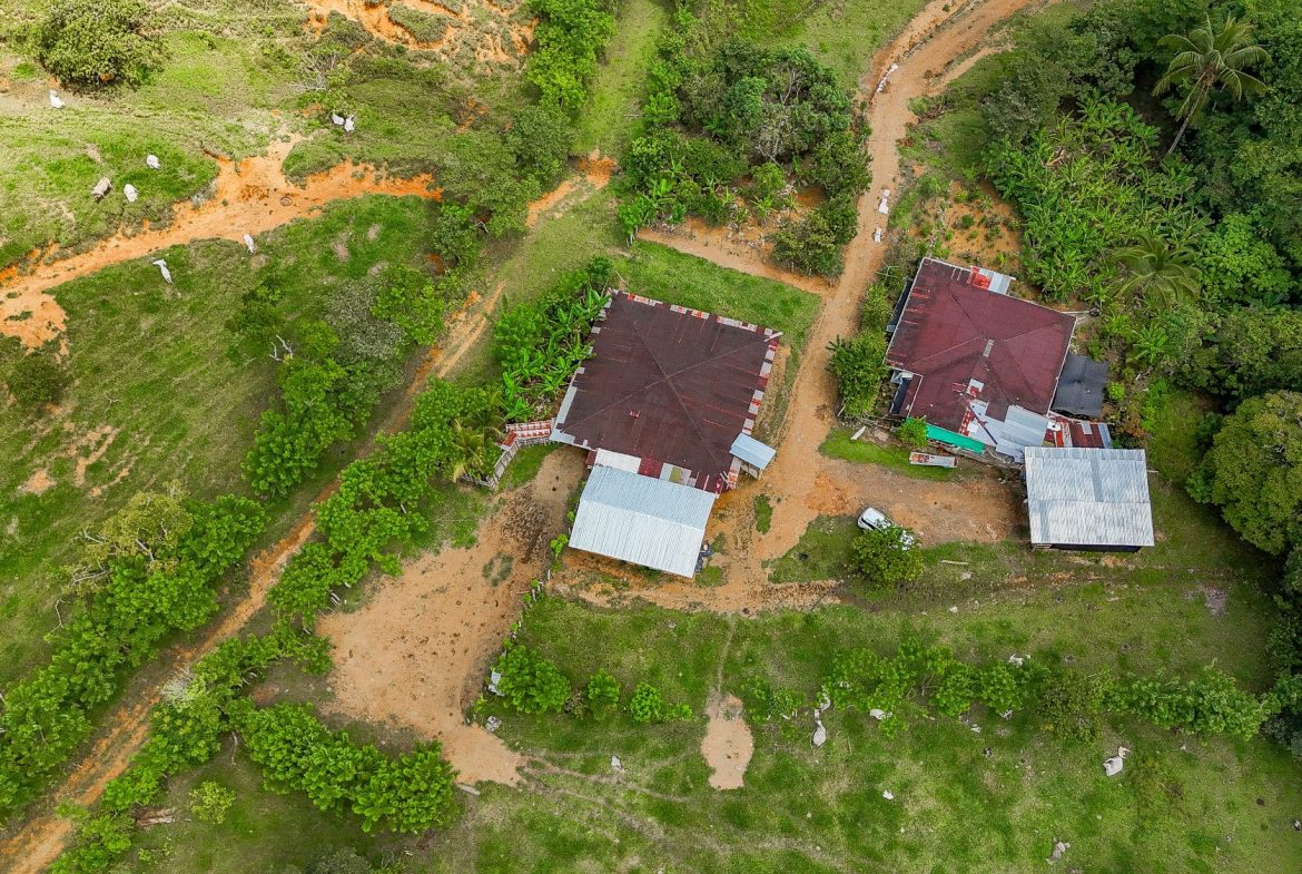 BUILDING FARM PROPERTY WITH MOUNTAIN VIEW, IN PUERTO CORTES – 464 ACRES