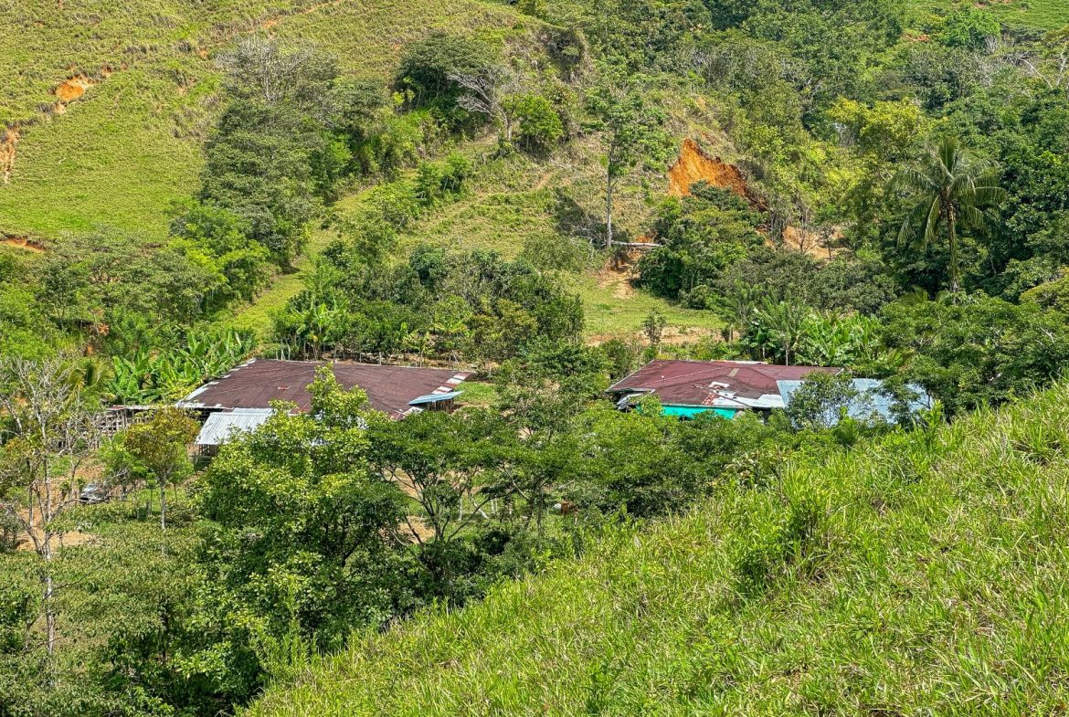 BUILDING FARM PROPERTY WITH MOUNTAIN VIEW, IN PUERTO CORTES – 464 ACRES