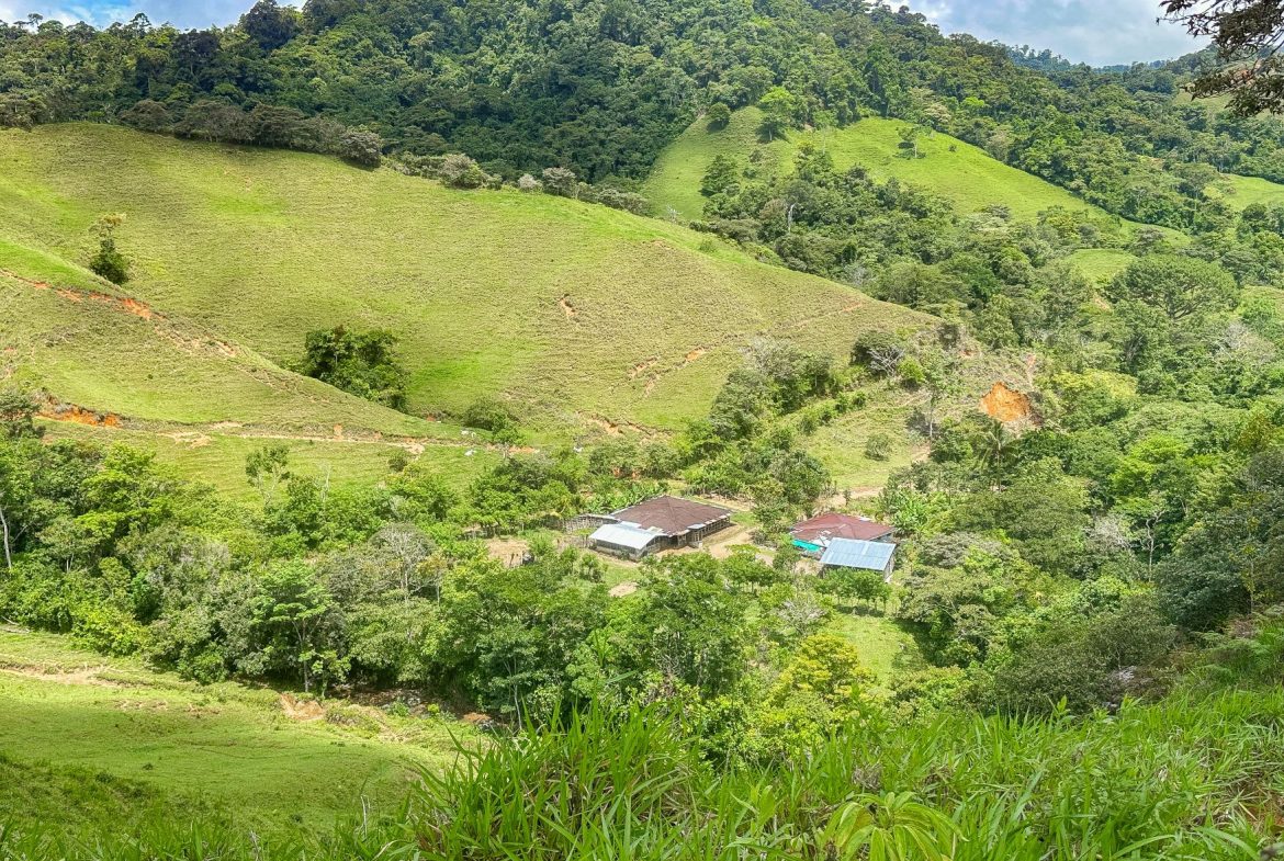 BUILDING FARM PROPERTY WITH MOUNTAIN VIEW, IN PUERTO CORTES – 464 ACRES