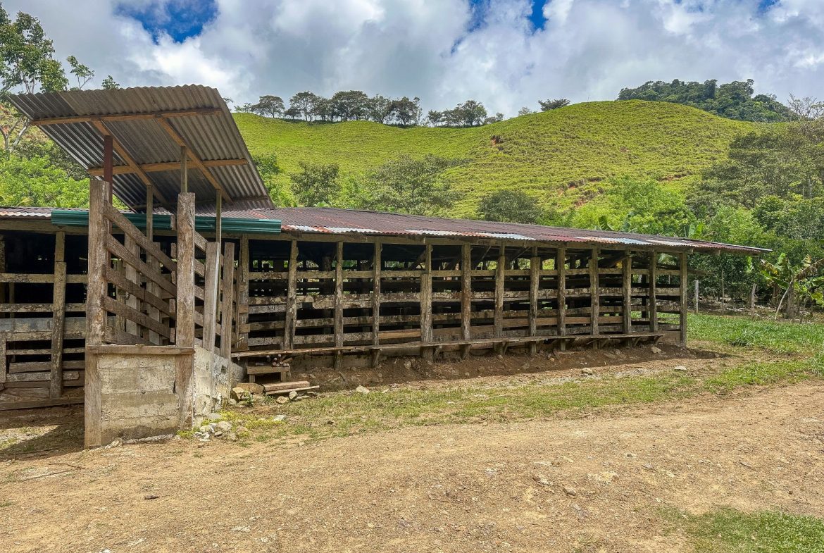 BUILDING FARM PROPERTY WITH MOUNTAIN VIEW, IN PUERTO CORTES – 464 ACRES